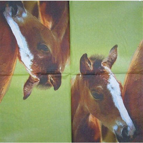 2110000114039_22076_1_servietten_little_horse_7d165975.jpg