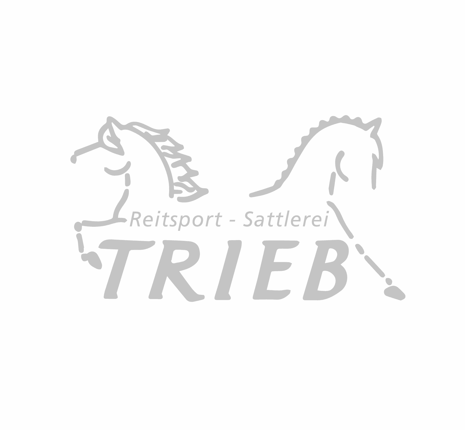 HALFTER DUBLIN BUCAS UNTERLEGT WARMBLUT